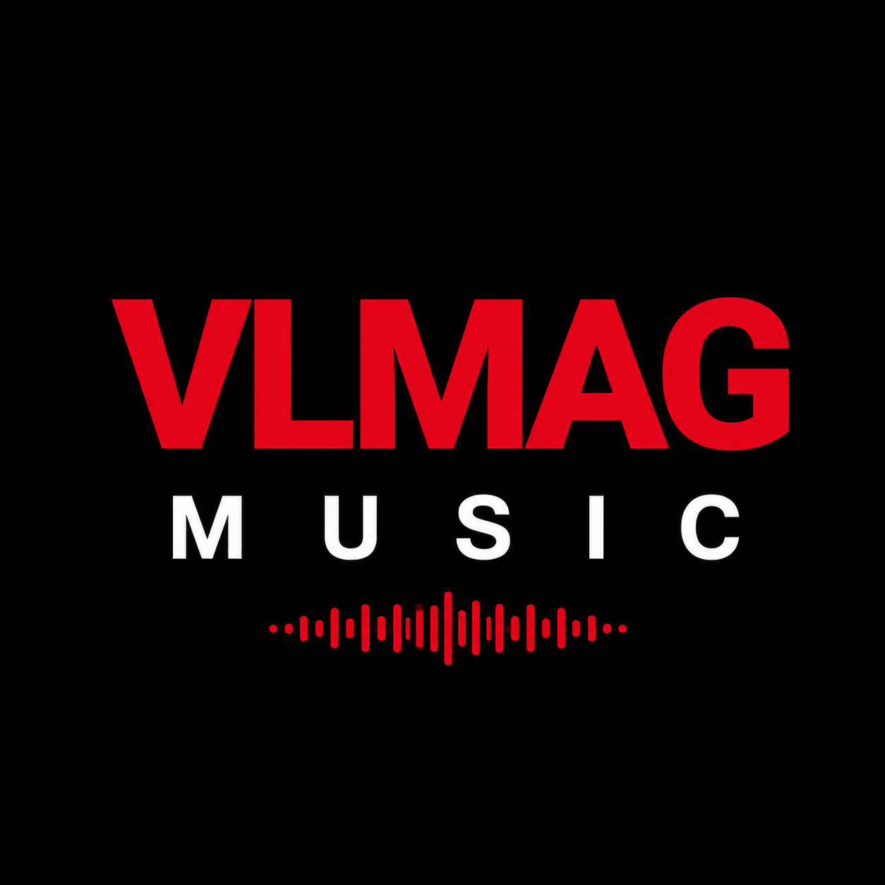 VLMAG network