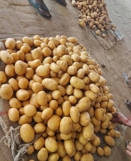 Pukhraj Potatoes