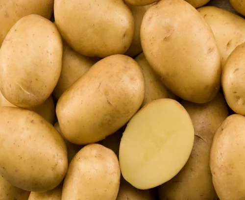 Badshah Potatoes — export quality from Vishwas Agro Global, Palanpur, Gujarat, India