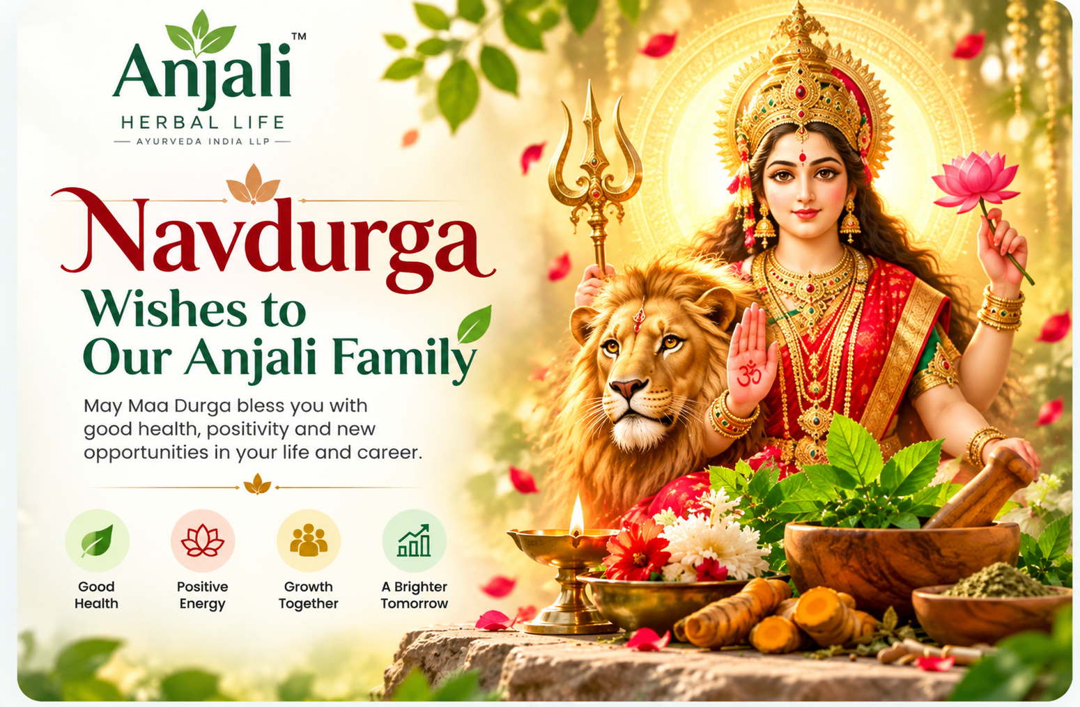 Anjali Herbal Life banner 1