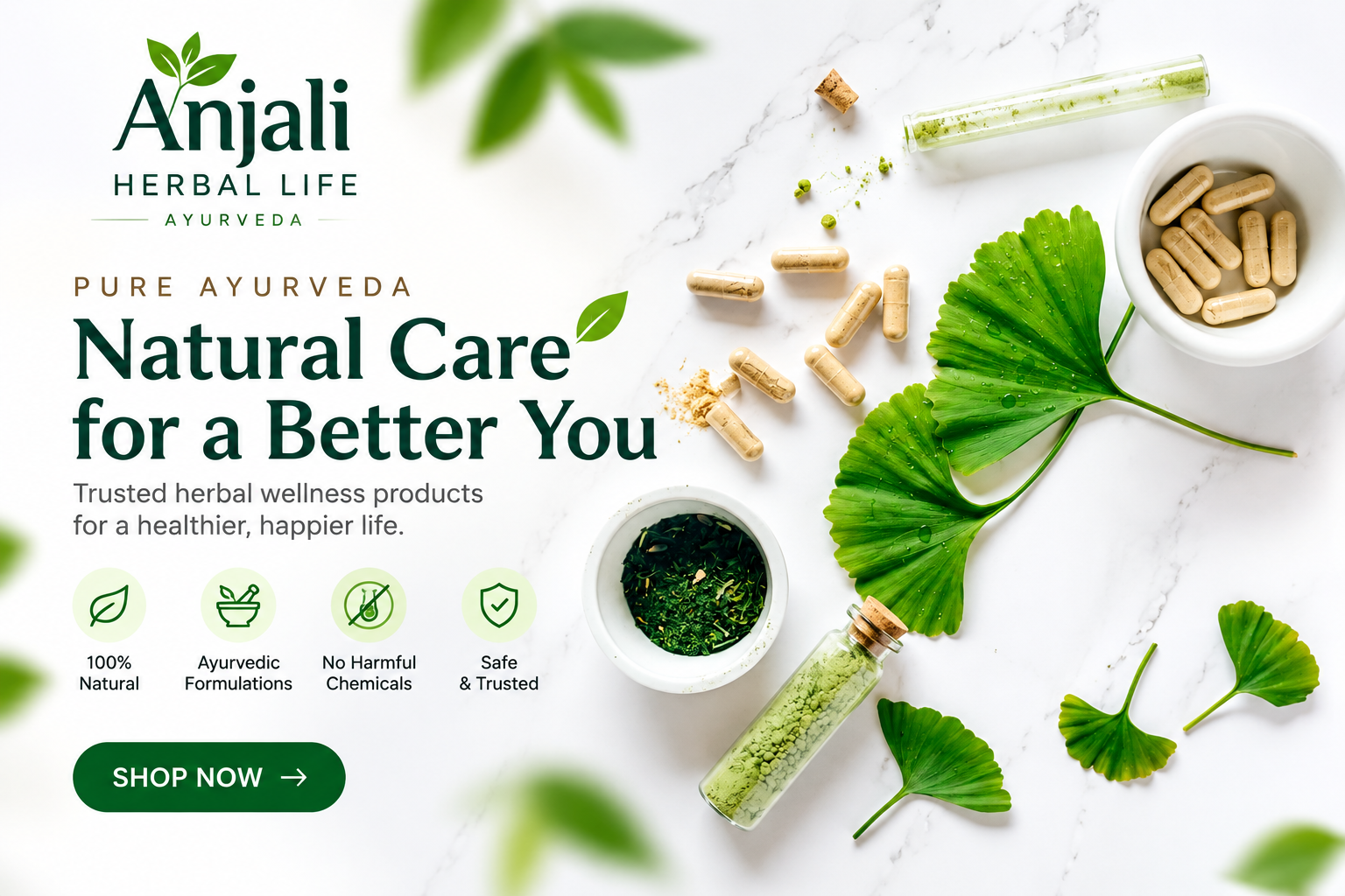 Anjali Herbal Life banner 3