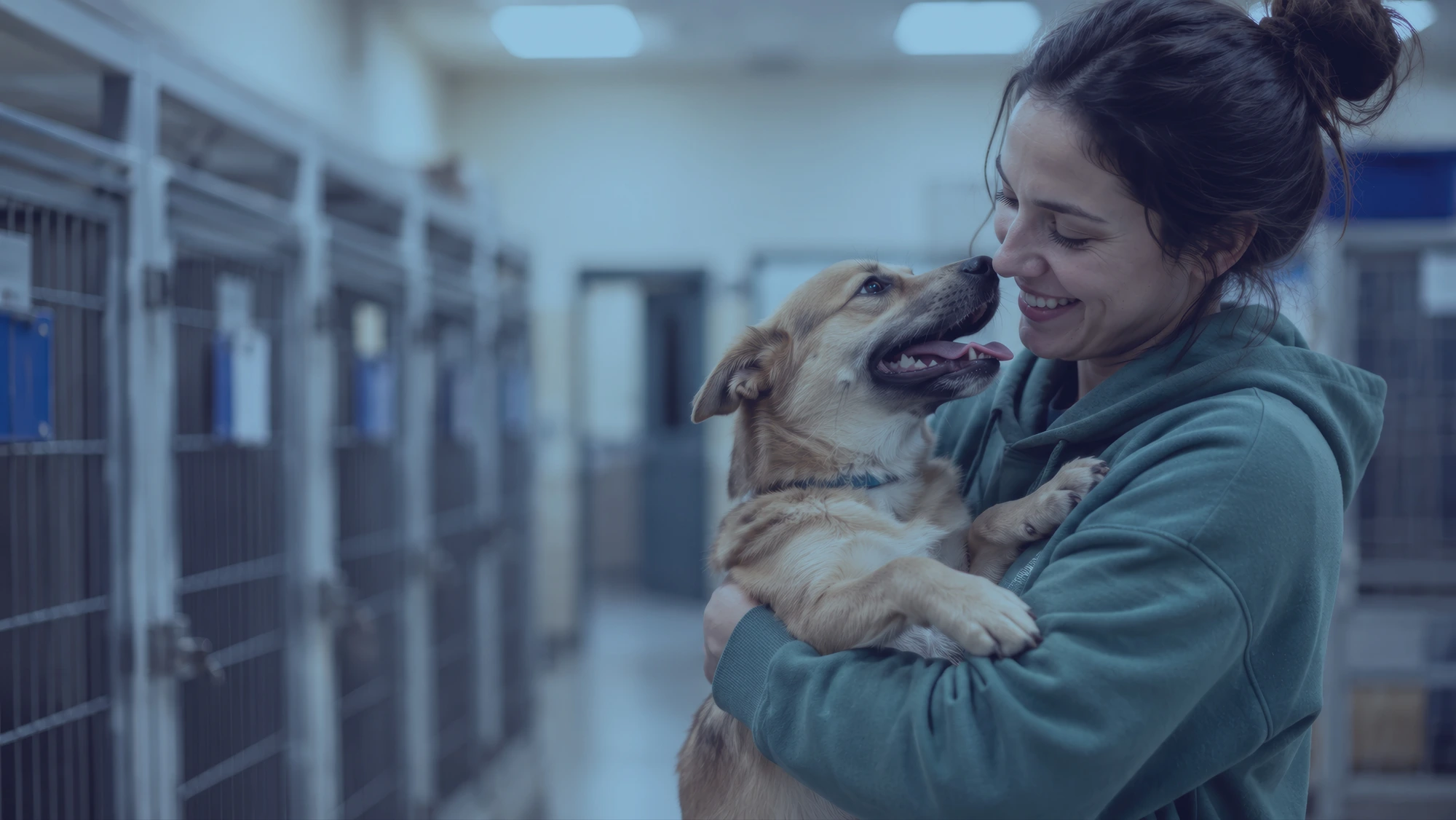 Voluntaria abrazando a un perro en un refugio