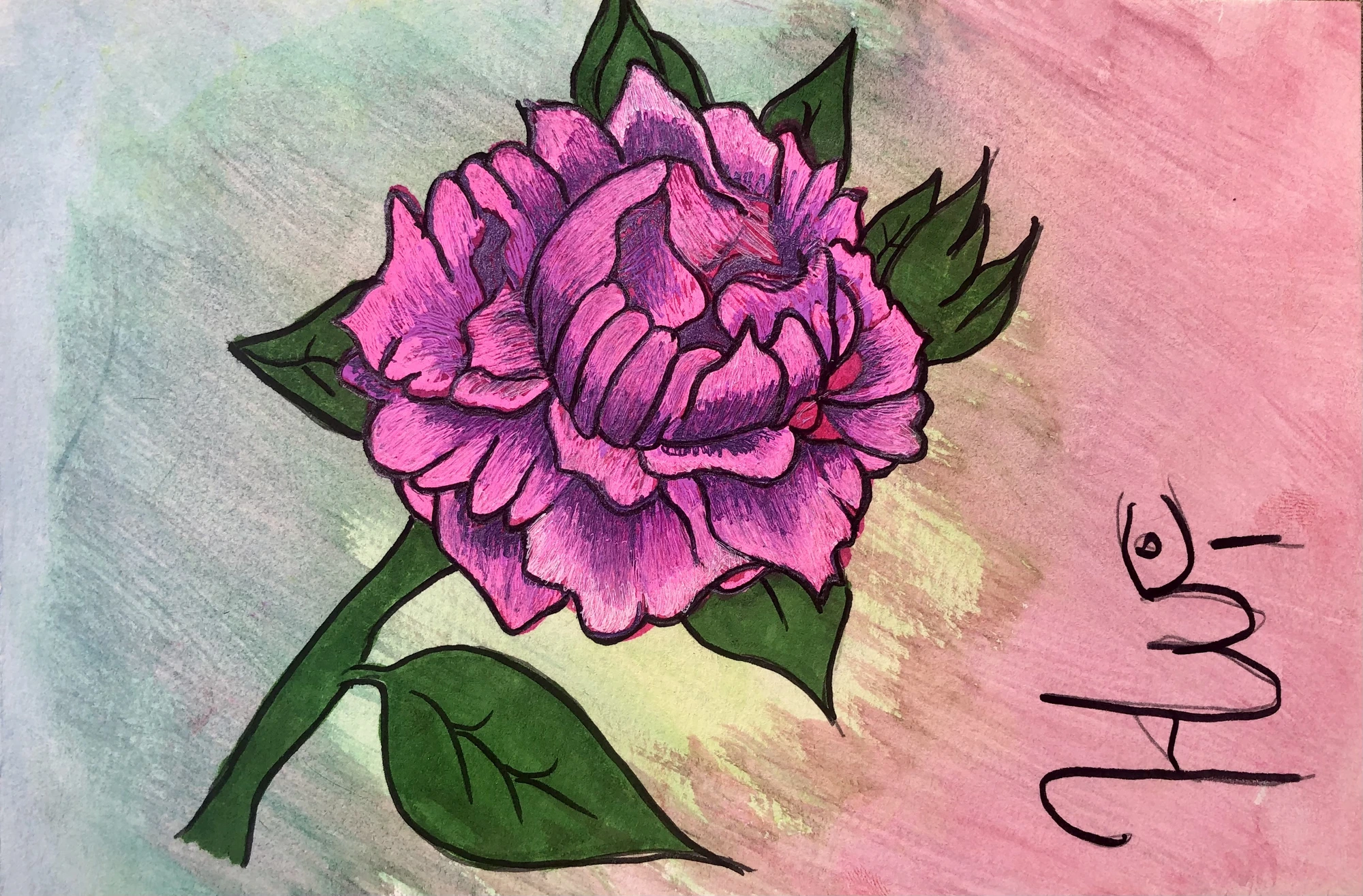 Pink Peony