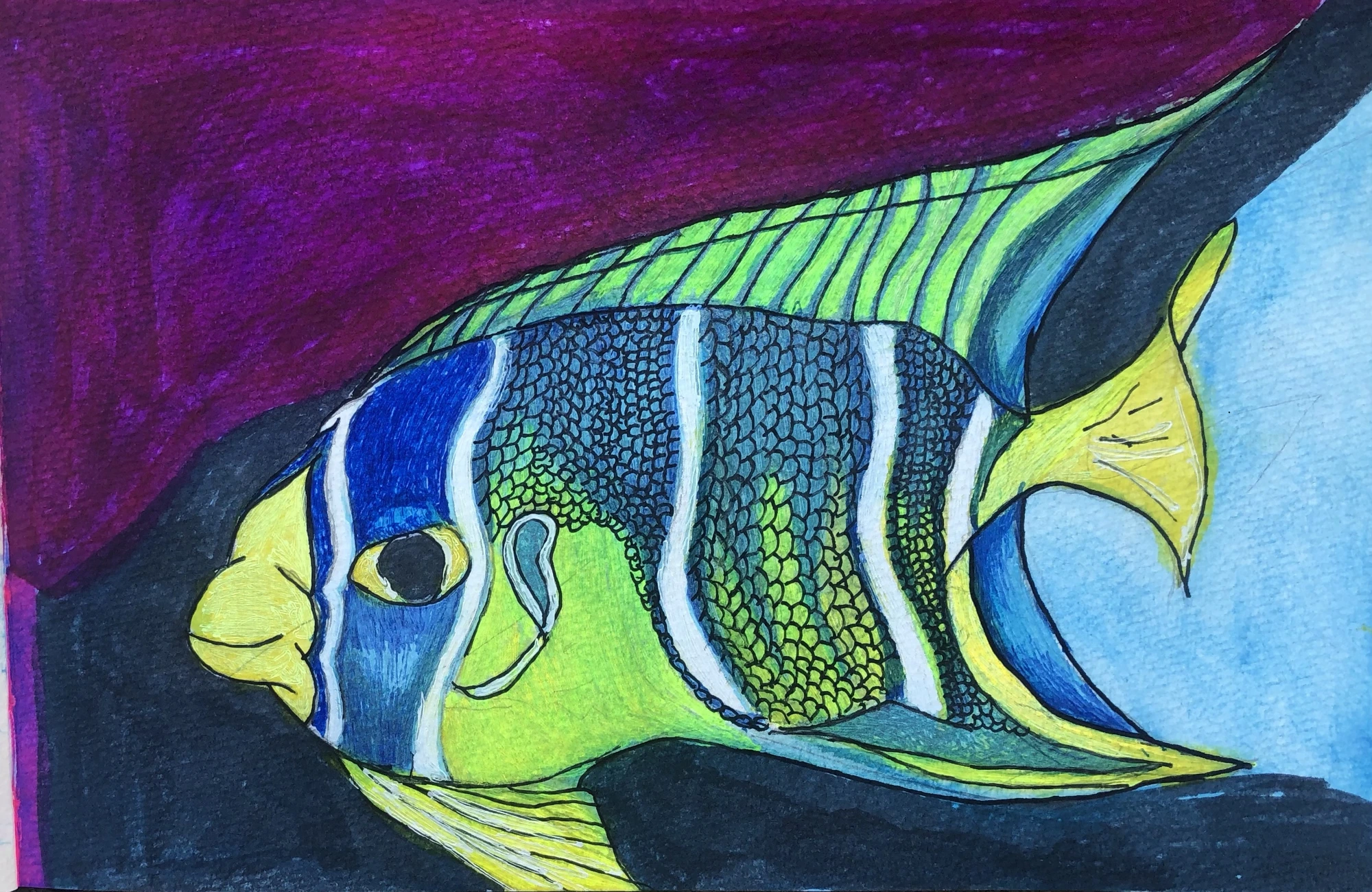 Angel Fish