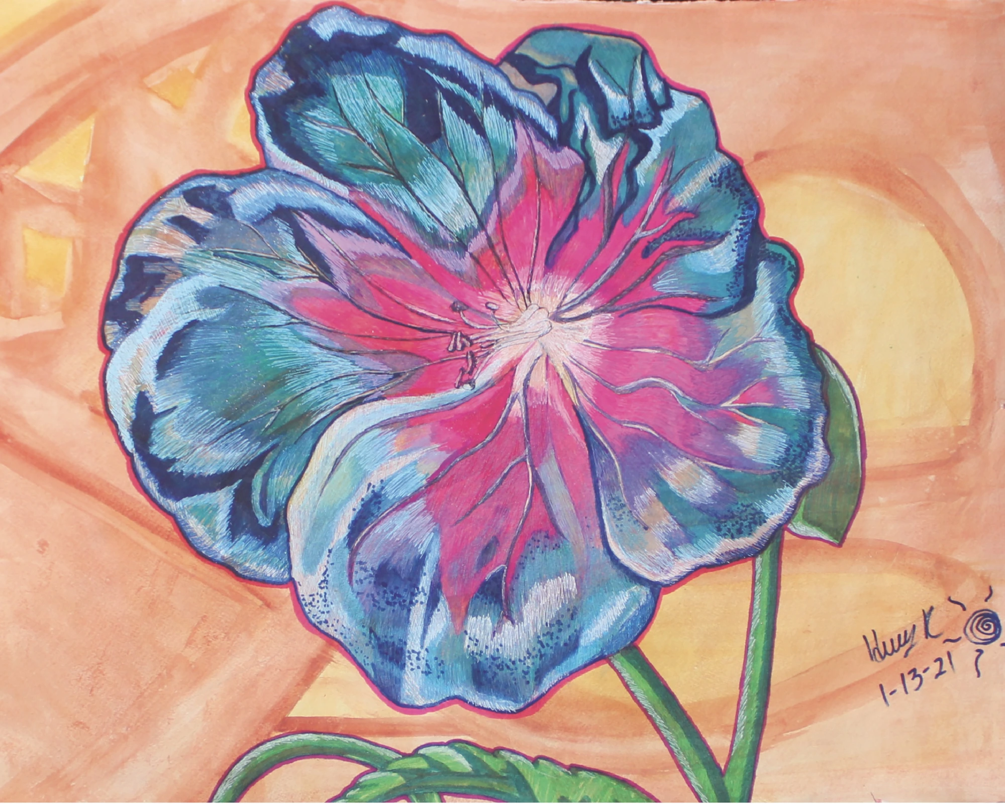 Hibiscus