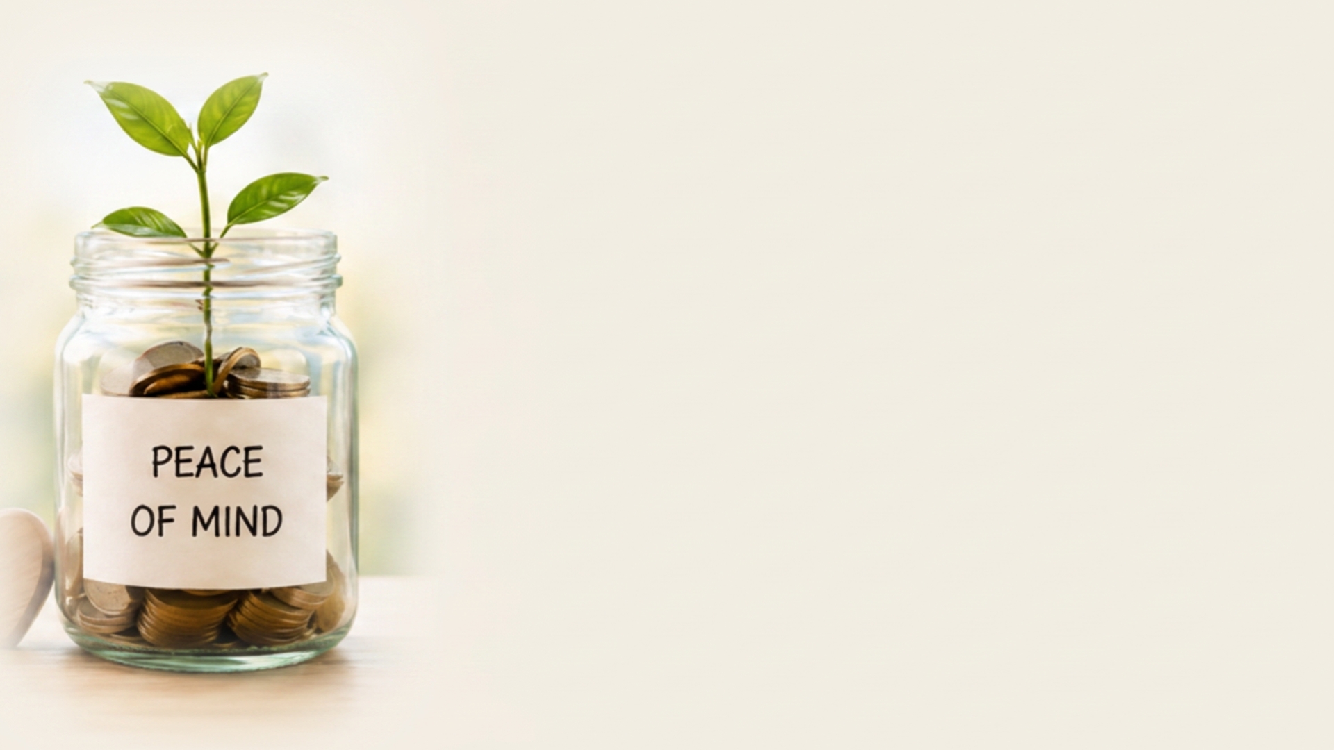 Peace of Mind - Financial planning background