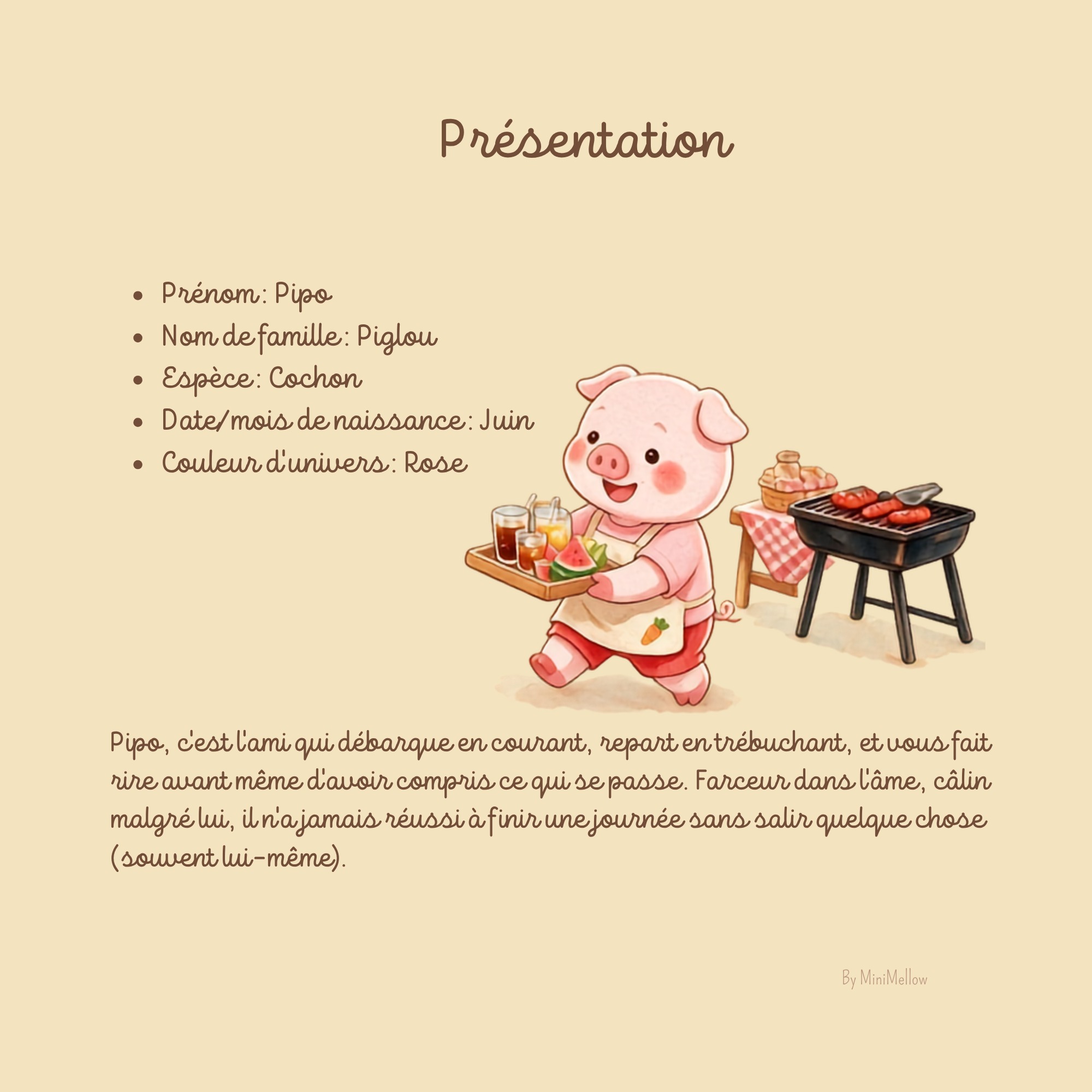 Présentation de Pipo