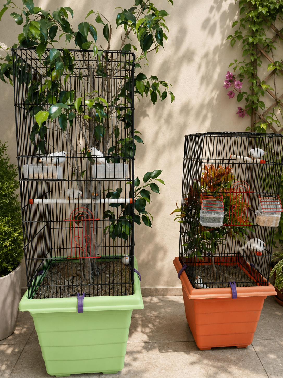 Bloom Aviary Planter Set