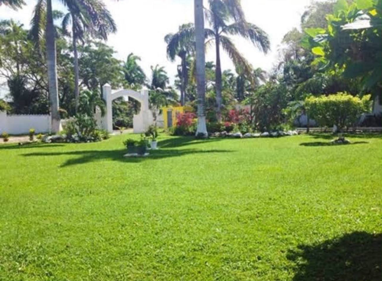 Garden Lounge — view 2