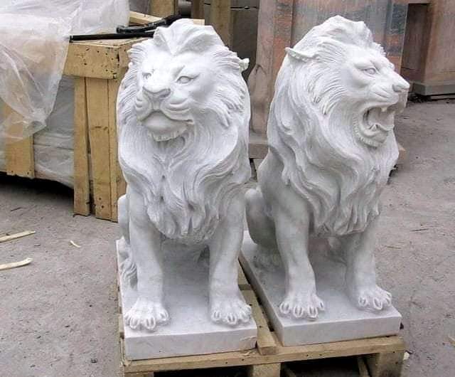 Roaring Lion Guardians